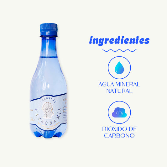 Caja 24 botellas · Agua Mineral De Manantial Carbonatada 355 ml