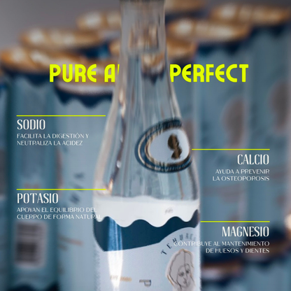 Agua Mineral de manantial en botella de Vidrio 355 ml
