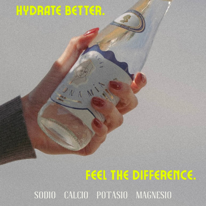 Agua Mineral de manantial en botella de Vidrio 355 ml