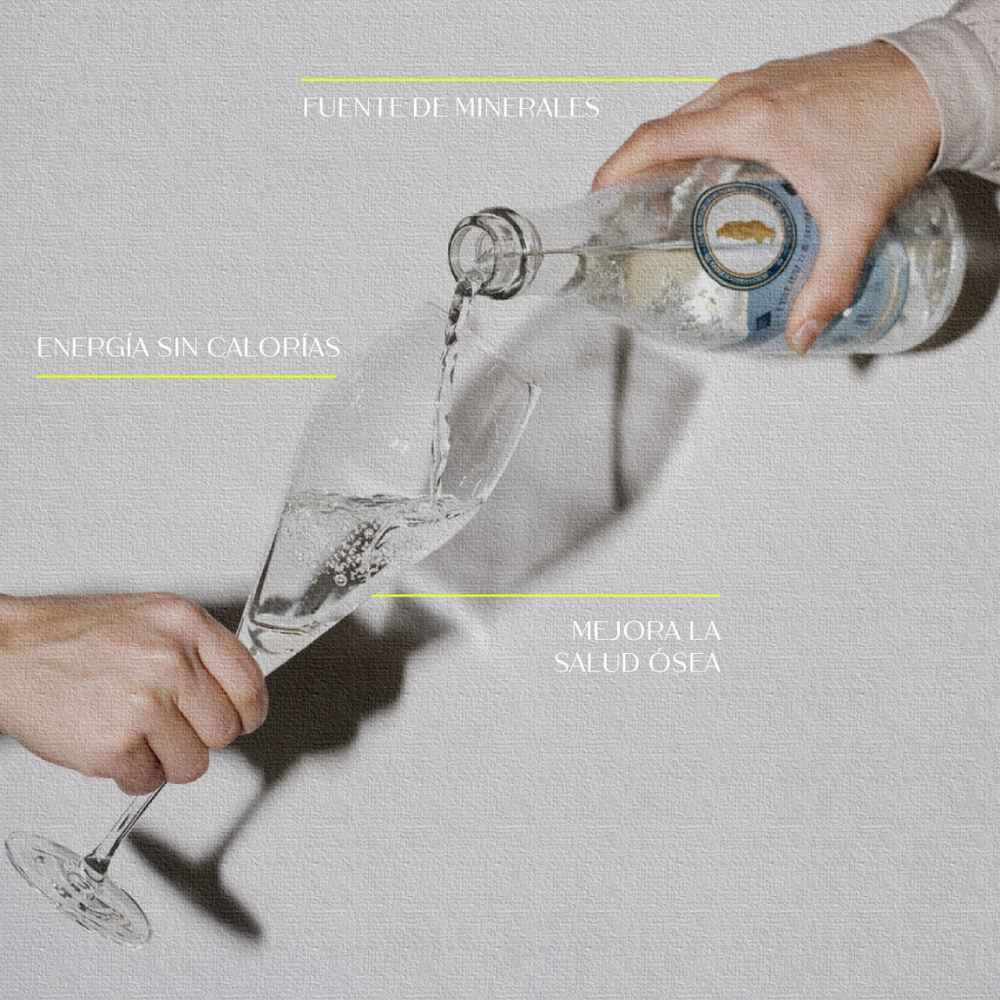 Agua Mineral de manantial en botella de Vidrio 355 ml