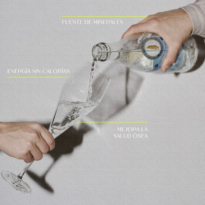 Agua Mineral de manantial en botella de Vidrio 355 ml