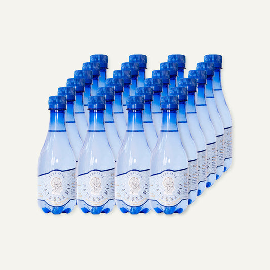Caja 24 botellas · Agua Mineral De Manantial Carbonatada 355 ml