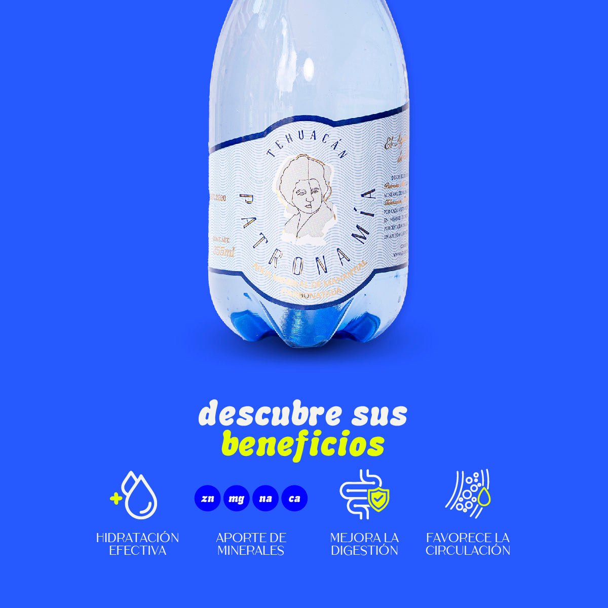Caja 24 botellas · Agua Mineral De Manantial Carbonatada 355 ml
