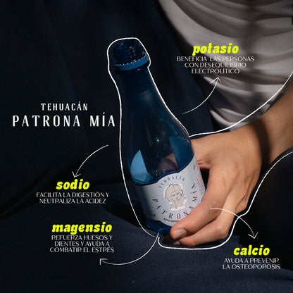 Caja 24 botellas · Agua Mineral De Manantial Carbonatada 355 ml