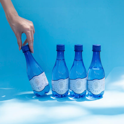 Caja 24 botellas · Agua Mineral De Manantial Carbonatada 355 ml