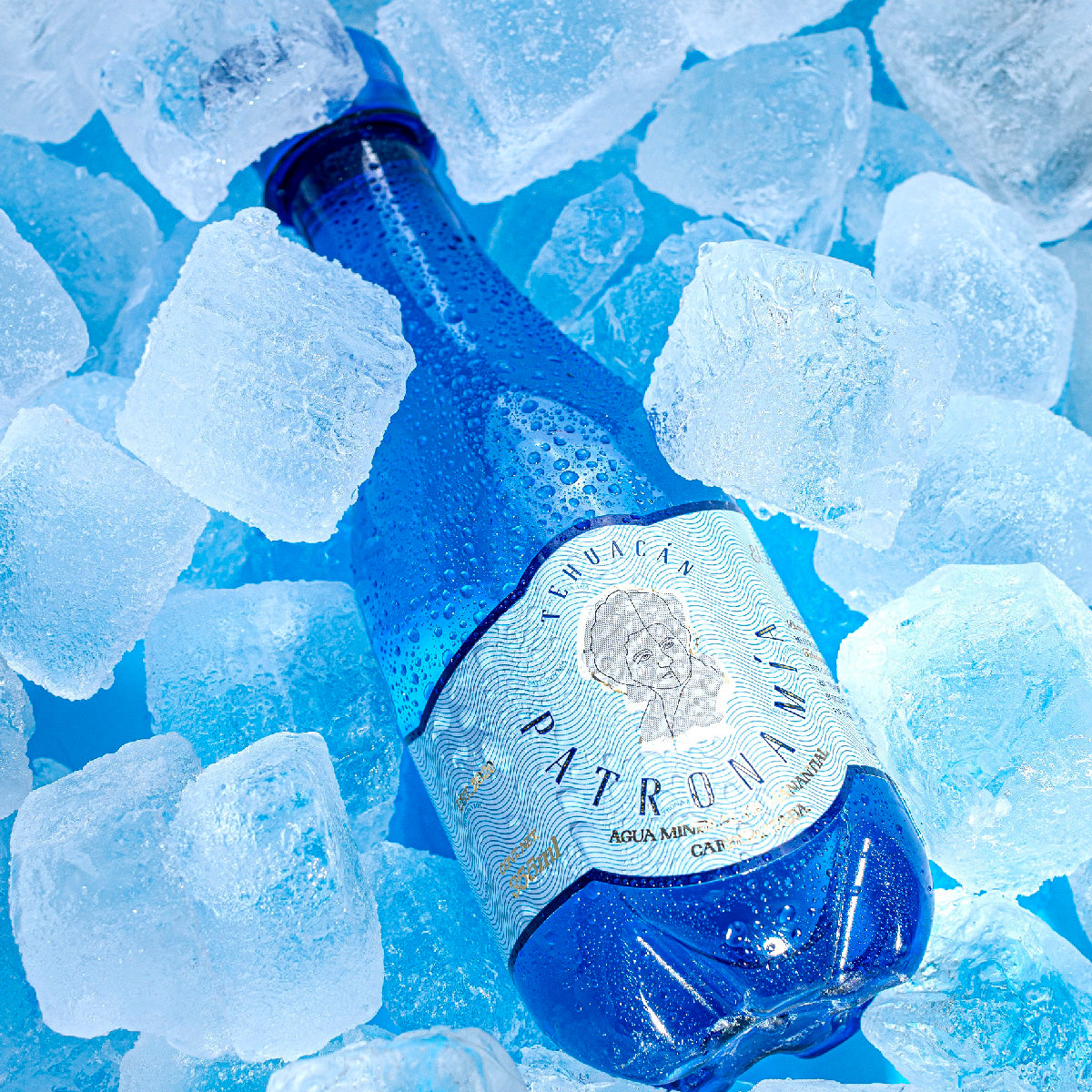 Caja 24 botellas · Agua Mineral De Manantial Carbonatada 355 ml