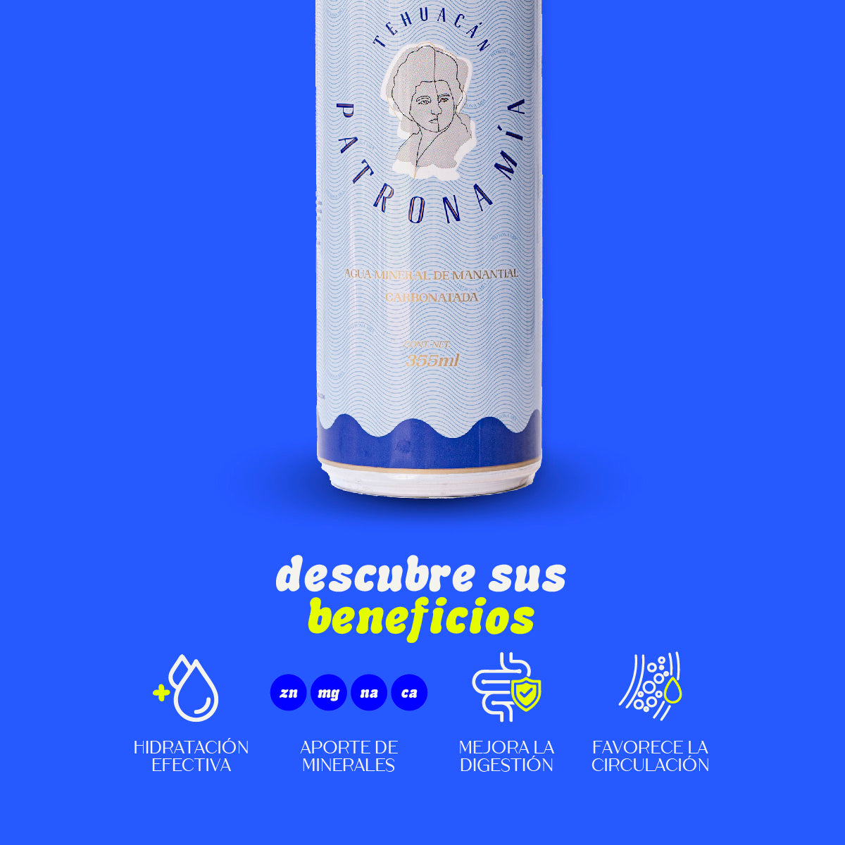 Agua Mineral de manantial en lata 355 ml