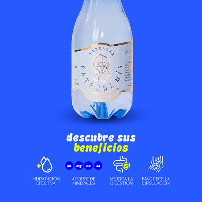 Caja 24 botellas · Agua Mineral de Manantial Sin Gas 355 ml